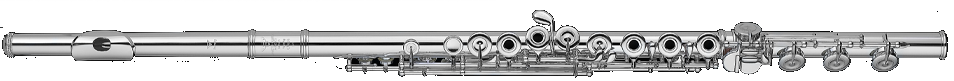 Sankyo Flute  CF601