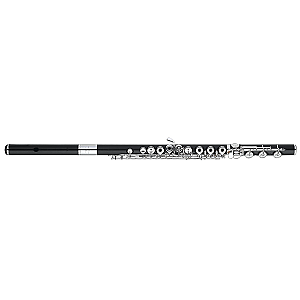 Sankyo Flute  WF-G-MJ